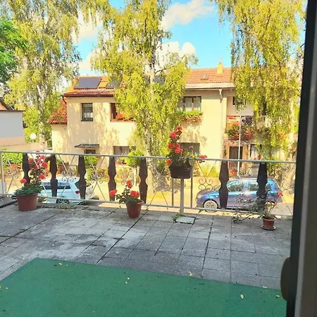 Lev I Sova 3* Melnik