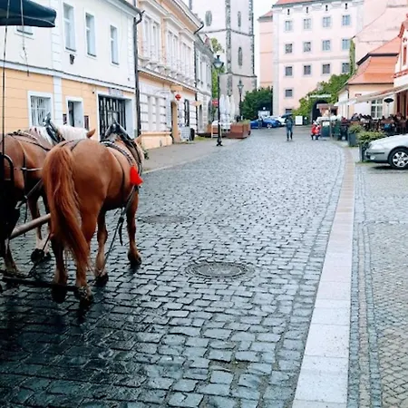 Aparthotel Lev I Sova *