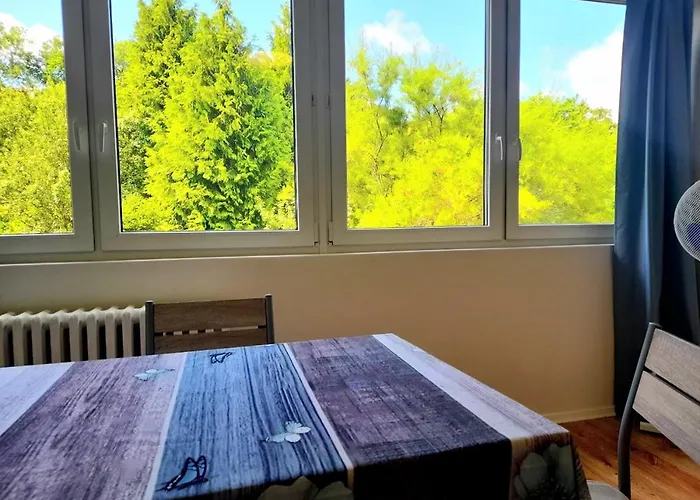 Ξενοδοχείο με διαμερίσματα Lev I Sova Mělník
