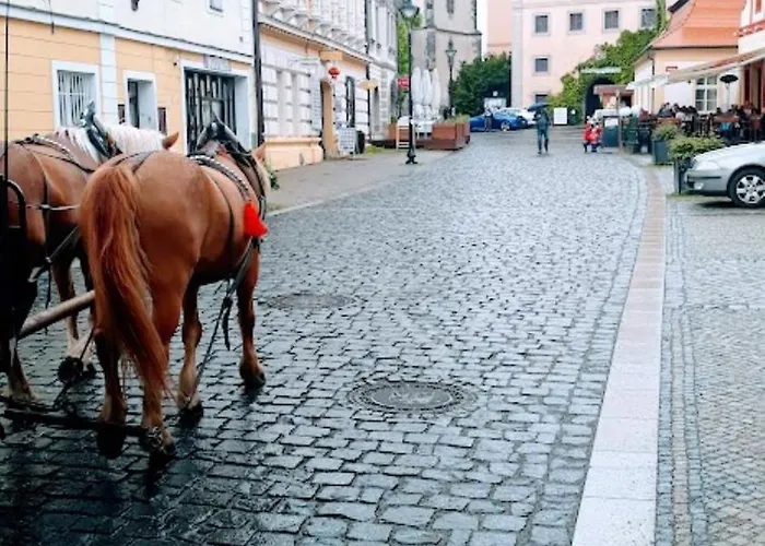 Aparthotel Lev I Sova 3*