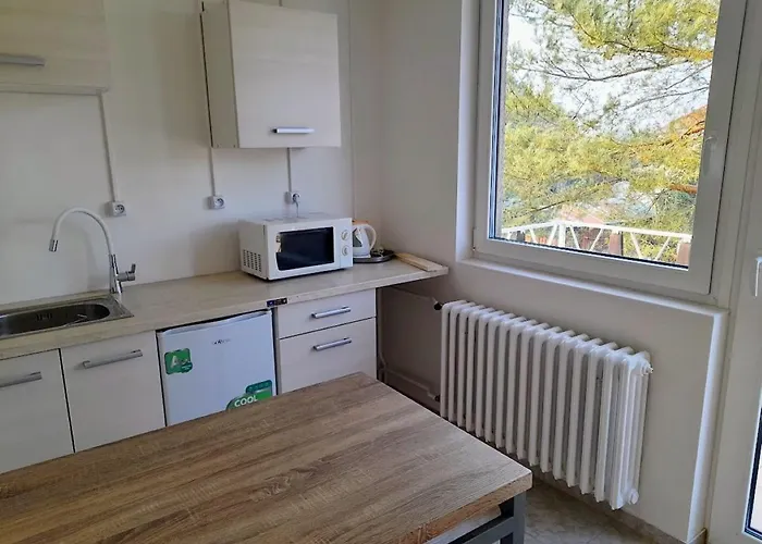 Aparthotel Lev I Sova 3*